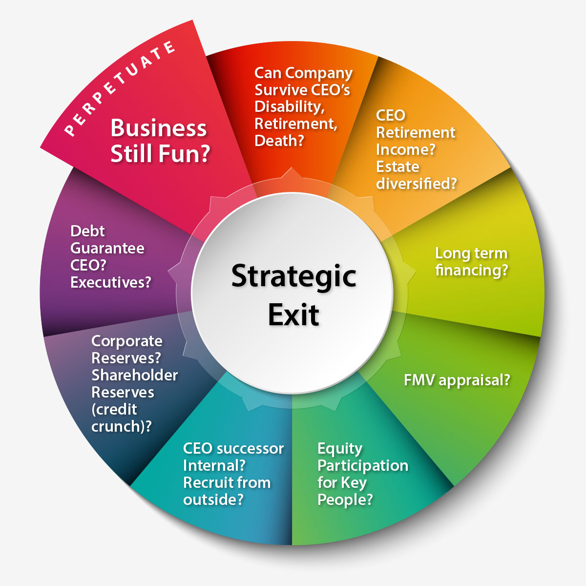 Critical Issues to Consider. Perpetuate or Exit.